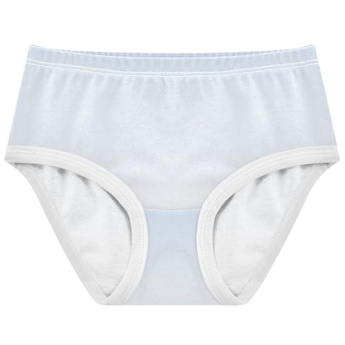 Joisal Cotton Toddler Underwear Floral Blue White Gradient Girl Panties Cute Designer Kids Undies Briefs 2t