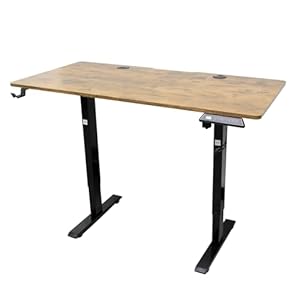 Electric Height Adjustable Stand up Desk Home Office Ergonomic Computer Workstation (Natural Brown, 48inch)