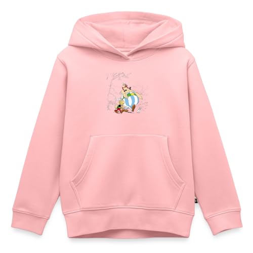 Sweat Astérix & Obélix avec Idéfix vêtement enfant idéal pour l'école