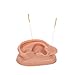 3B Scientific N15/1R SKINlike Silicone Right Acupuncture Ear Model, 3.7