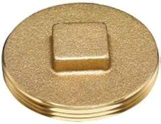 42370 Clean Out Plug 2 in. Brass