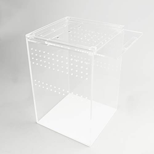 Naneezoo Magnetic Acrylic Reptile Cage, 6 Inchx6 Inchx9 Inch Tall Enclosure Transparent Reptile Breeding Box Terrarium Tank For Tarantula Scorpion Sling Isopods Invertebrates Insect Mantis thumb #2