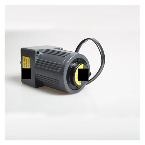 Moteur asynchrone robuste 40W 220V à décélération stable 56RPM - 2