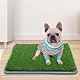 Hundetoilette, waschbares Urinierpad und Kunstrasen-Patch für Hunde, Welpento-Training, tragbare Katzentoilette für den Innenbereich