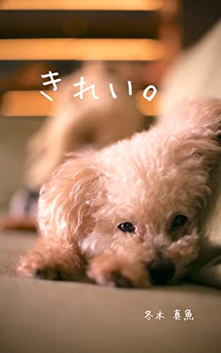 kirei (sabakunobaratouminohosi) (Japanese Edition)