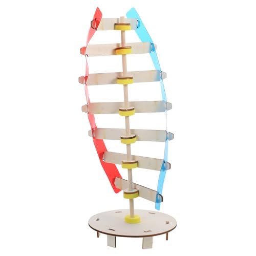 iplusmile Modelo Doble Hélice ADN Educativo para Instrumento Científico de Enseñanza Genética Kit de Montaje de DNA para Estudiantes con Detalles Visuales y Explicativos