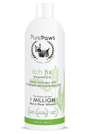 bed frame with dog bed underneath