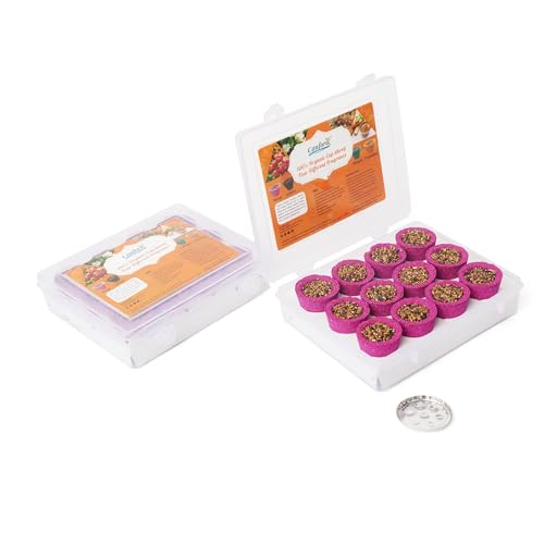 Canfora Satdive Mini Sambrani Dhoop Cup for Pooja Hawan Non Toxic Charcoal Free Dhoop Cups, (Rose) Pack of 2, 24 Cups (B0CS2X4RX3) Amazon Price History, Amazon Price Tracker