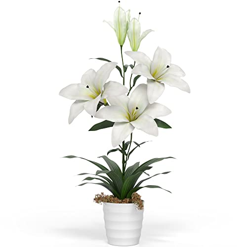 Best Artificial Peace Lily Plant For Your Home