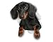 Winston & Bear 3D Dog Stickers - 2 Pack - Black Dachshund Sausage Dog Decals for Wall, Fridge, Toilet and More - Black and Brown Dachshund Decor - Retail Packaged Dachshund Stickers