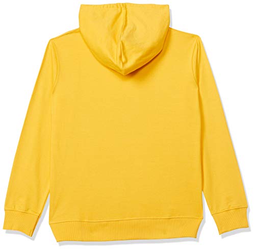 Image of Chromozome Boys Cotton Hooded Neck Hoodies