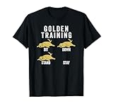 Photo Gallery golden retriever training cane maglietta Photo Gallery golden retriever training cane maglietta