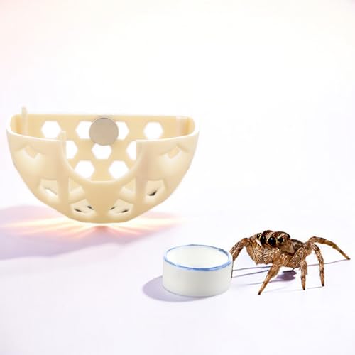 Image of DQITJ Jumping Spider Hidden House Tarantula Enclosure Accessories with Magnet and Water Bowl for Tarantula Insect Praying Mantis Jumping Spider Stick Insect