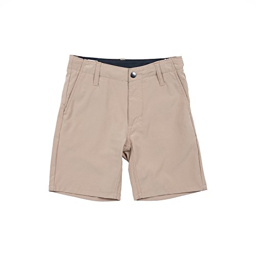 Volcom Boys' Frickin V4S Short