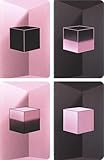 COFFRET CADEAU : La boîte comprend quatre cahiers format poche, un marque-page PINK et des autocollants thématiques, une idée cadeau pour tous les vrais passionnés de K-Pop et de BLACKPINK