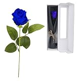 elthmpr Infinity Rose rosa am Stiel - Echte konservierte Rose in Geschenkbox für Frauen in Ihrem GeburtstagsjubiläUm Muttertag (Blau)