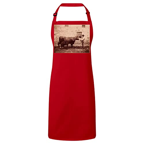 Tablier cuisine rouge thème fermier vache veau idéal pour repas de famille