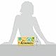 Renova 100% RECYCLED Facial Tissues 72 Sheets (Packung mit 4)