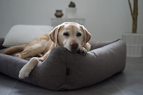 Lebon - Hundebett Gordon -Beige/Braun Kuschelweich mit Dicker Liegefläche- 3 Größen- Waschbar (M)