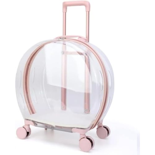 LX[cP[X LX^[t ybgJ[g bNL[obO ybgpX[cP[X  Lp  L[obO ʋC U s ʉ@ hЗp s Oo y  (green,B)