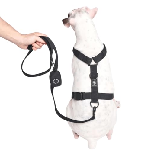Spark Paws Premium Dog Leash & Poop Bag Set - Heavy-Duty Alloy Hook for Strong Pulling Breeds - Comfortable, Durable & Secure - Black by Spark Paws - Image 2