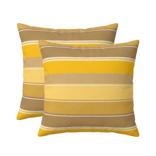 RSH DECOR: Sunbrella Square Throw Pillows Set of 2 | 22" x 22" | Water and Fade-Resistant Performance Fabric | Outdoor Pillow Covers with Down-Alternative Inserts | Made in USA (Martinez Pineapple)