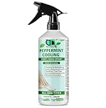 Peppermint Cooling Foot/Hand Spray – Revitalize and Refresh with a Refreshing Peppermint Formula, Soothes Tired Feet, Cooling Sensation, Reduces Odor, Boosts Circulation (500ml Spray)