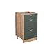 Produktbild Vicco Küchenschrank Küchenmöbel Fame-Line Landhaus Küche Einbauküche Küchenzeile Blende Unterschrank Hochschrank Hängeschrank (Eiche-Grün-Gold, Schubunterschrank 50 cm)