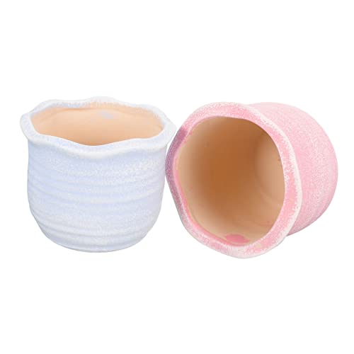 Milisten 2 Piezas De Macetas De Cerámica para Suculentas Macetas Decorativas para Suculentas Macetas para Plantas Macetas para Bonsái Macetas para Suculentas Macetas De Cerámica para