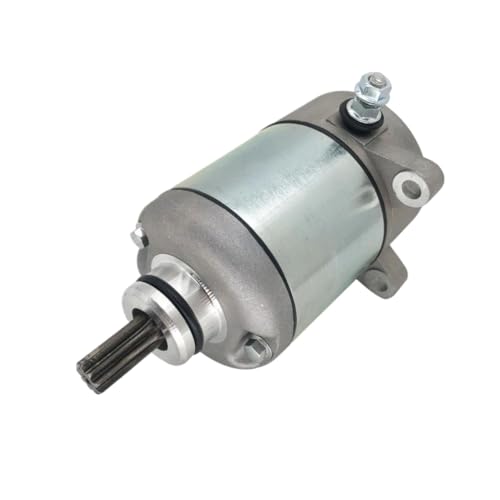Démarreur pour TRX250TM Recon à lanceur renforcé pour un allumage immédiat du moteur 250cc