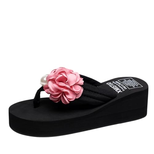 [Z_ `V] T_ ubN r[`T_ T_ fB[X   R[f rT_ 킢 24.5cm  r r[T ɂȂ rW[ gO  EFbW\[ ₷ {w~A Xbp