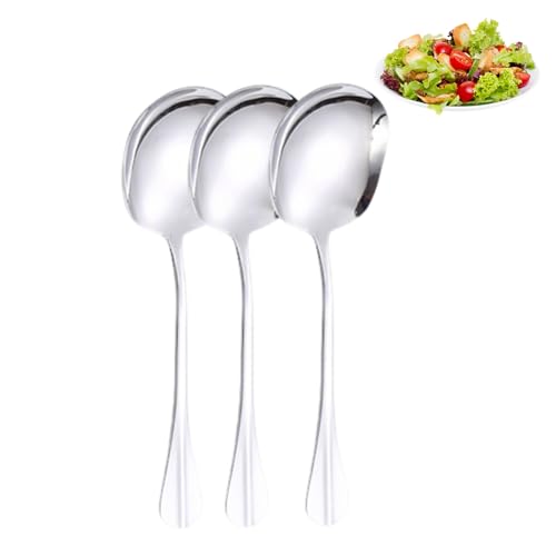 Hsyadazi 3 cucchiai da portata in acciaio inox (25 cm) – Cucchiaio professionale per buffet e ristorante – lavabile in lavastoviglie con manico extra lungo
