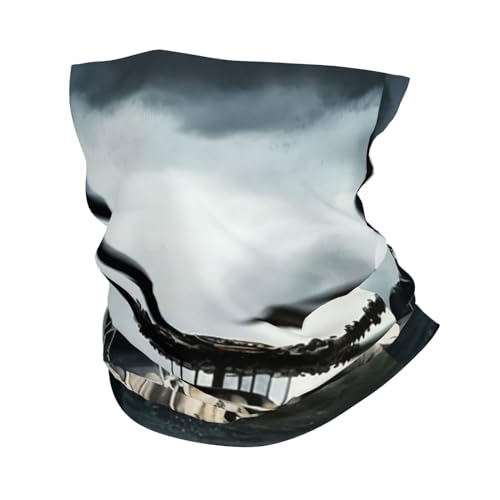 Helicopters aircraft flight Aviation cool Neck Gaiter Face Cover Scarf Balaclava Bandana for Women Men Gaiter Mask for Motorcycle Cycling Riding Skiing Party miniatura 1