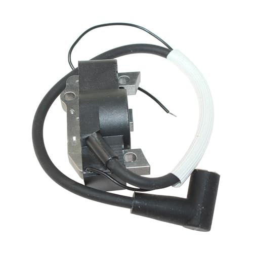 Bobine d'allumage BS60 BS70 BS600 pour résoudre les ratés