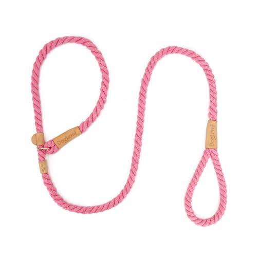 KIXZSAZ ͂őϋv̂錢p[h - ʓIȃg[jOƐp̉Kőϋv̂郍[v[h Rbg, KN