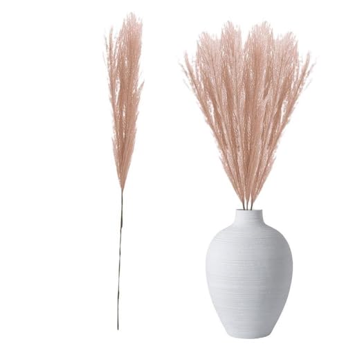 Pampas Grass Large Fall Pampas Grass Decor