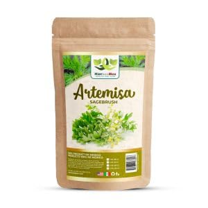 Artemisa Te 4 oz.-113g Sagebrush Herb Tea 4 oz.-113g Natural Mexican Herb Hierba Wild Crafted Product of Mexico Hierbasmx