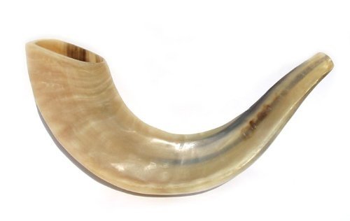 Small Ram's Rams HORN SHOFAR 10"-13” medium From Israel New Jewish Music