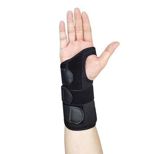 _uA~jEv[g T|[^[ Œoht ֗ȃfUC ֐߈ (݂)