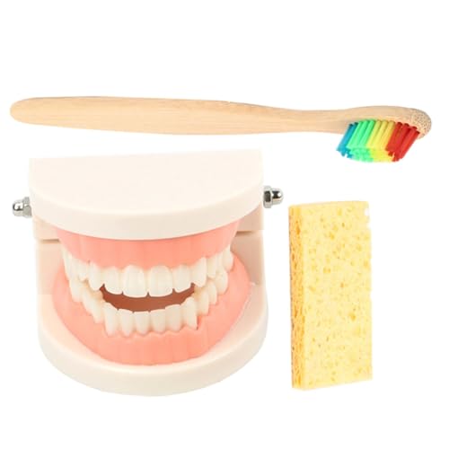 �m�[�u�����h�i �c������ �ؐ����u���V �� ���o����p���̖͌^�Z�b�g �p�`���͌^ 1Set �F�w��s�� �����_���J���[ �����_���J���[