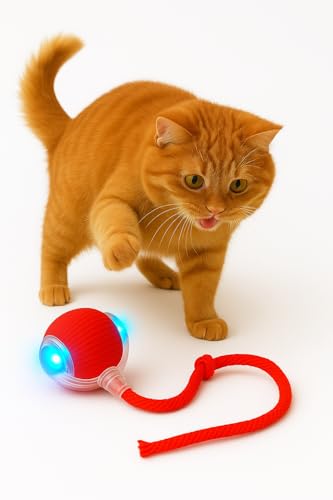Image of Pet Cat Toys for Persian Cats - Interactive Pet Toys for Cats & Kittens | Soft, Fun & Safe Toys for Indoor Cats | Great for Play & Exercise
