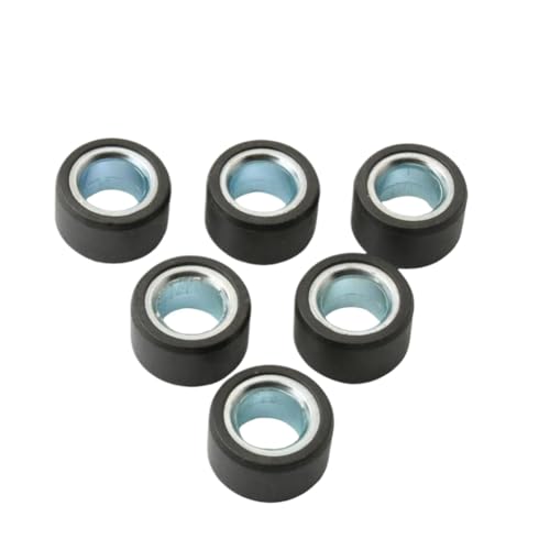 Galets rouleau variateur 12g 20x12mm compatible Versity BWS YW 125cc