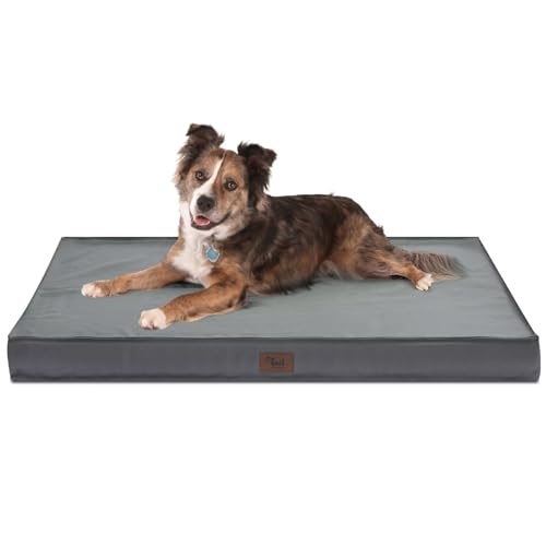 Tail Stories Orthopedic Dog Bed for Large Dogs,...