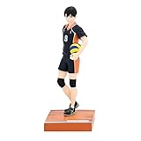 Figurine Shoyo Hinata, Tobio Kageyama, Kenma Kozume e Tetsuro Kuroo che catturano l'energia delle stelle della pallavolo Karasuno e Nekoma High