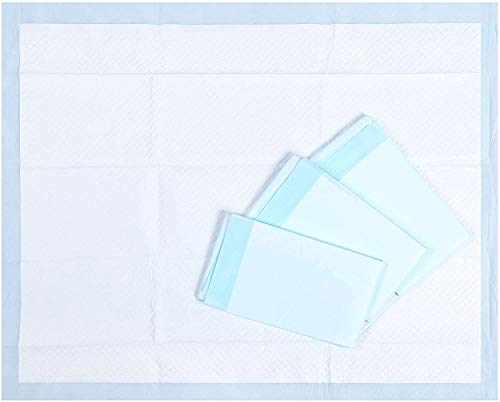 All-Absorb Honey Care, Training Pad, 30"x36", 30 ct XXL, Ultra Absorbent and Odor Eliminating, Blue, A39 - Thumbnail 2