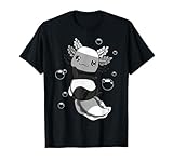 Allosexuelle Flagge Axolotl Flor Kawaii Allosexueller Stolz LGBTQ T-Shirt