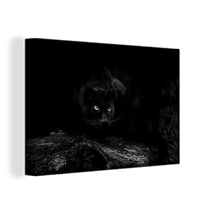 MuchoWow Canvas Schilderij Decoratie – 140×90 cm – Zwarte panter in een donker bos – zwart wit – Wanddecoratie…