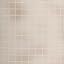 beige, ( champagne)