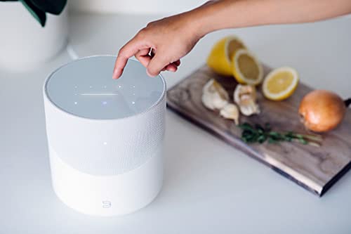 Image of Bluesound Pulse M Omni-Hybrid Wireless Music Streaming Speaker with Bluetooth - White - Compatible with Alexa and Siri