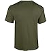 Gildan Adult Heavy Cotton™ T-Shirt,Heliconia,L